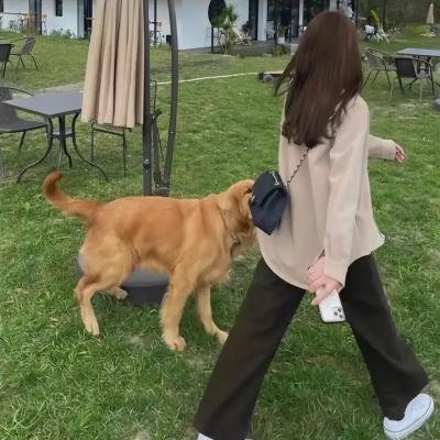 渺小而坚韧