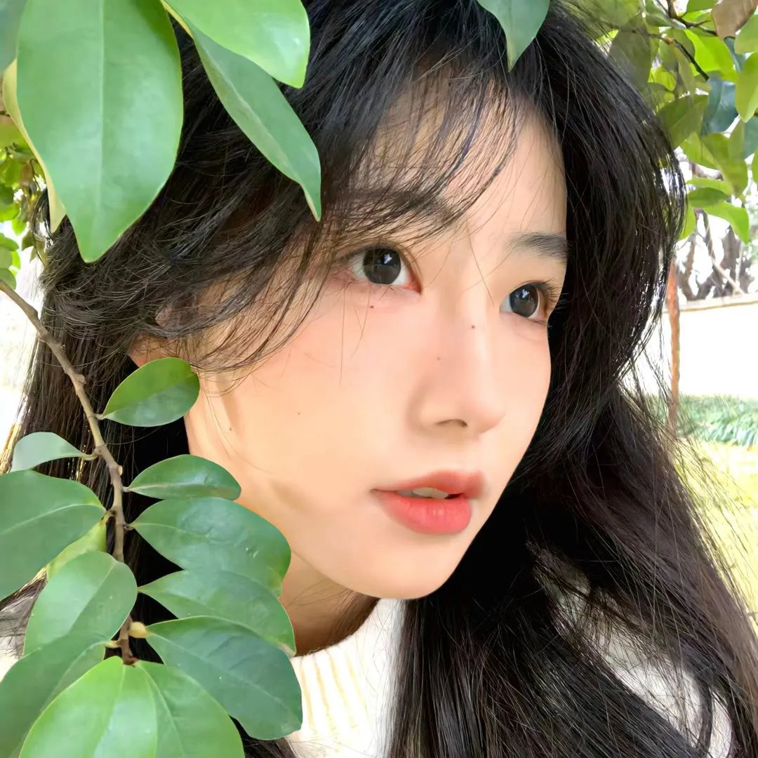 这个大叔太冷傲第二季